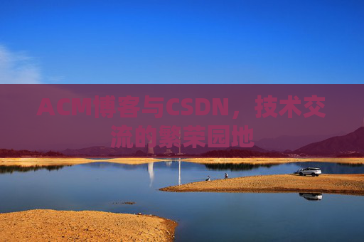 ACM博客与CSDN，技术交流的繁荣园地